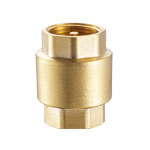 Check Valves